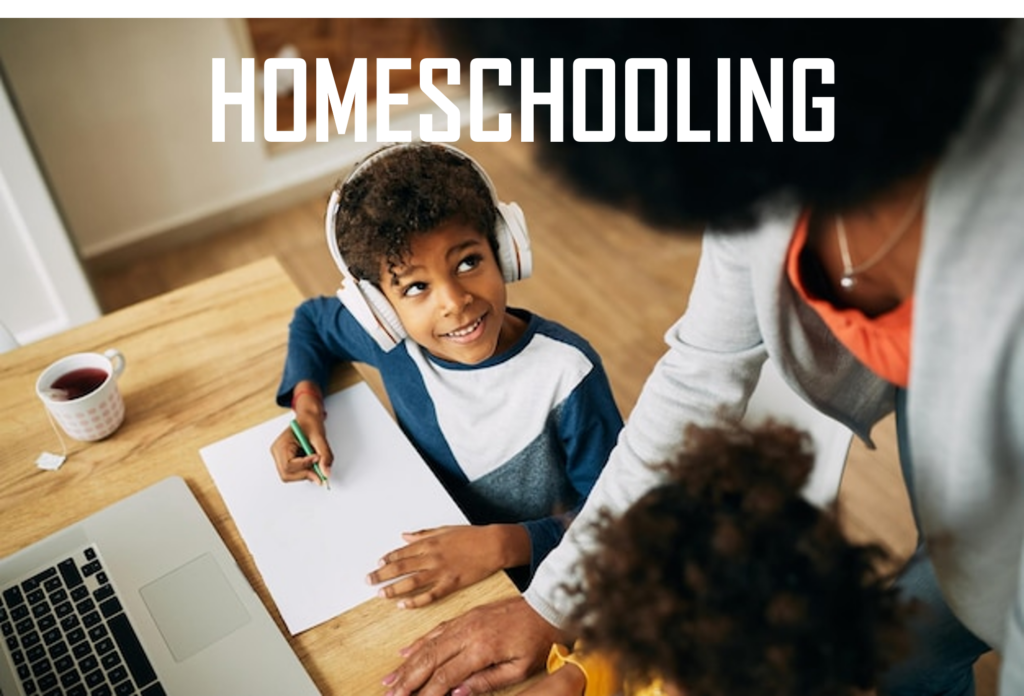 Homeschooling: Conheça Esta Proposta De Educação Domiciliar - Telesapiens